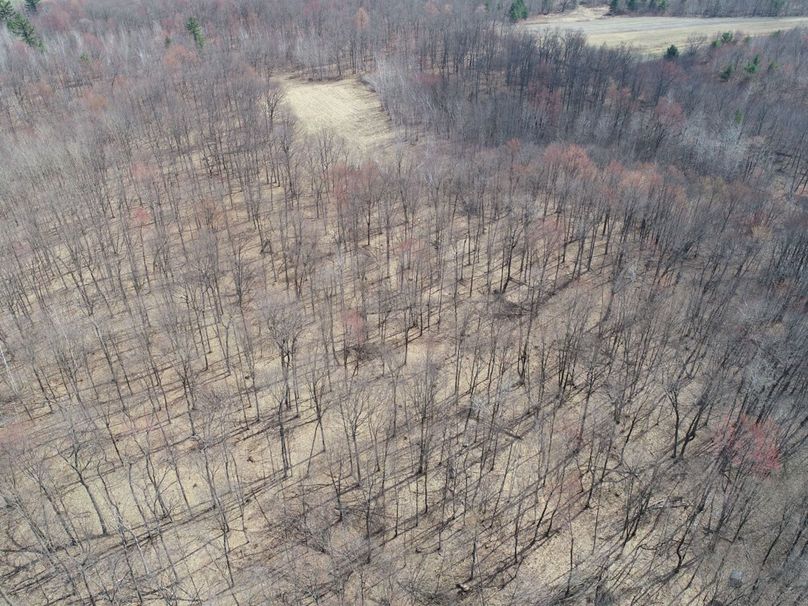 Barron80re-south-026