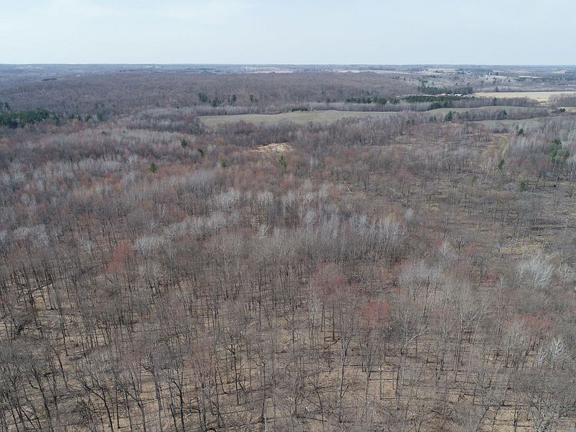 Barron80re-south-027