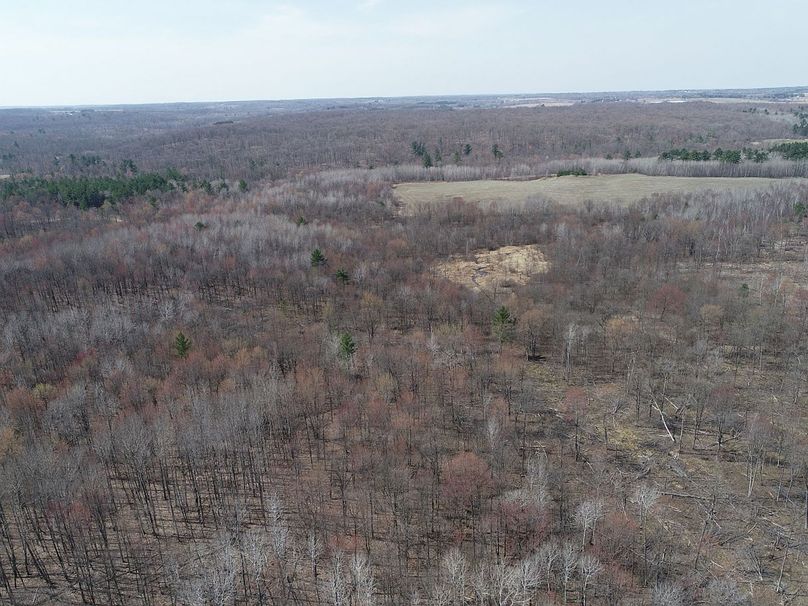 Barron80re-south-028