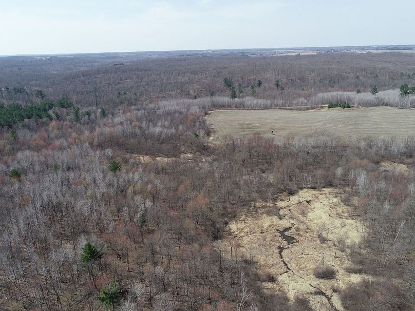 Barron80re-south-029