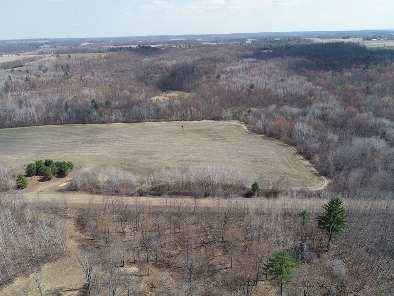 Barron80re-south-020(1)