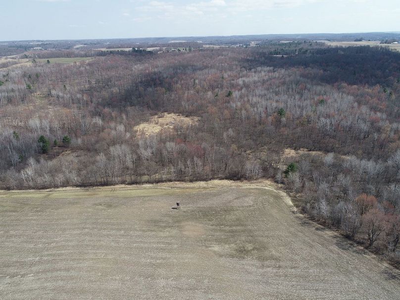 Barron80re-south-021(1)