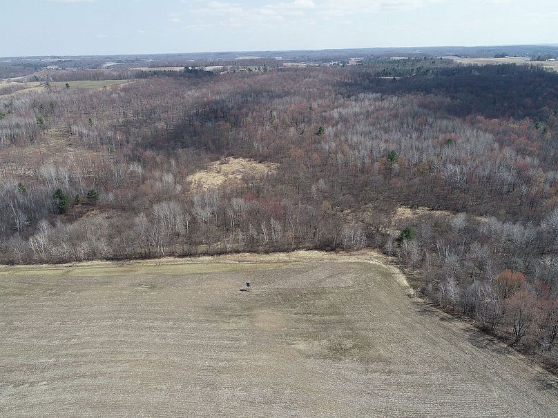 Barron80re-south-021