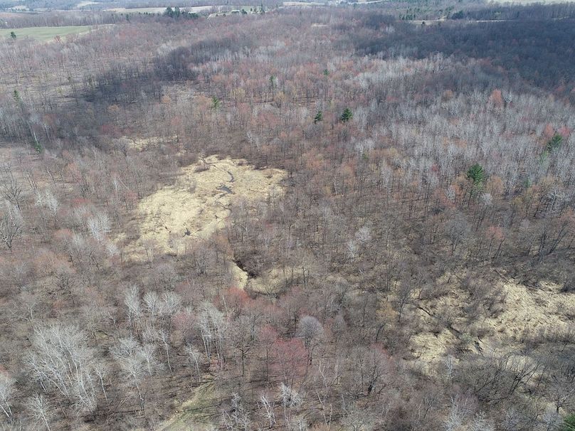 Barron80re-south-022(1)