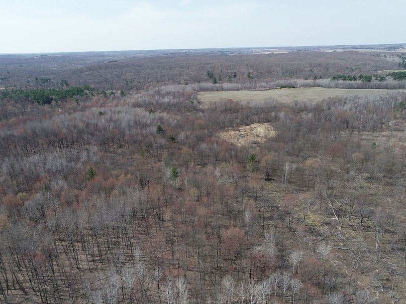 Barron80re-south-022