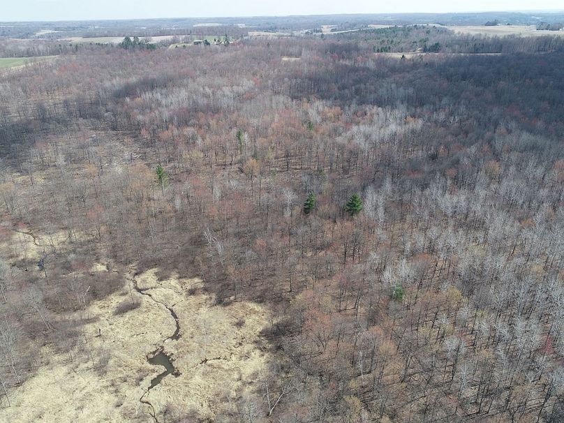 Barron80re-south-023(1)