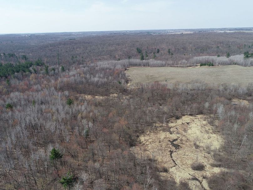 Barron80re-south-023