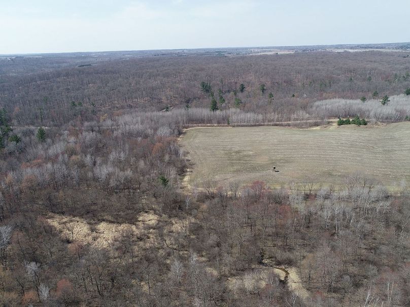 Barron80re-south-030