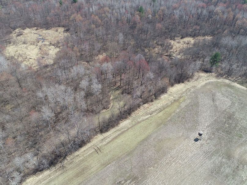 Barron80re-south-032