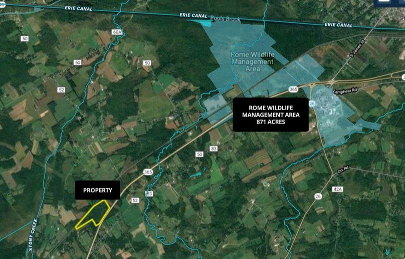 Z oneida 68.92 precourt wide area