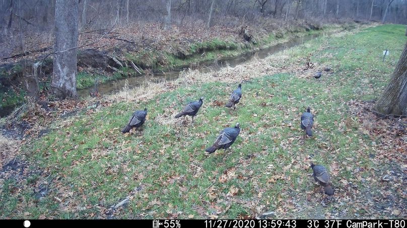 20201127135944 im 00008