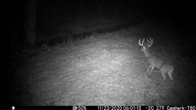 20201123060116 im 00003