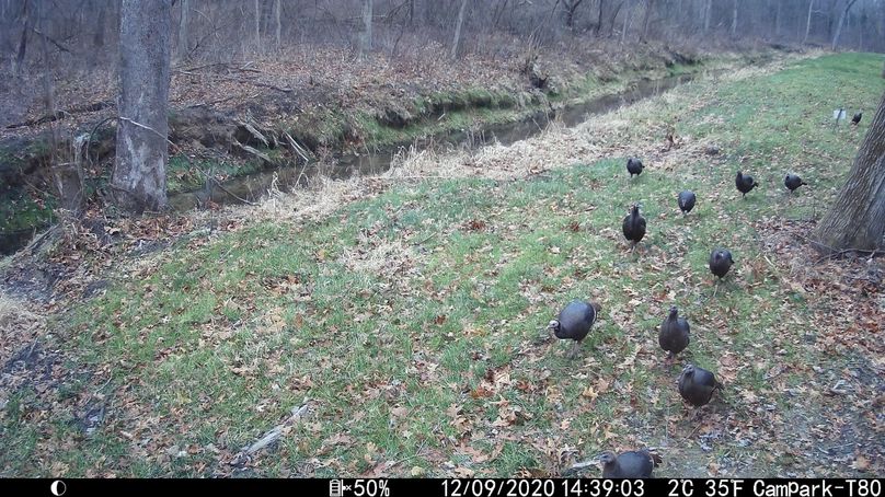 20201209143904 im 00019