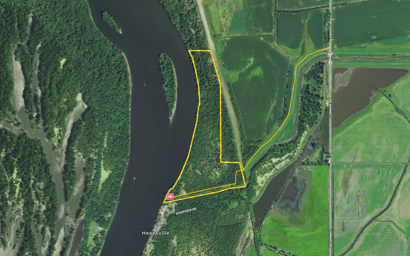 Screen Shot 2021-05-03 at 11.17.59 AM