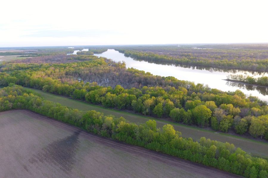 DJI_0445