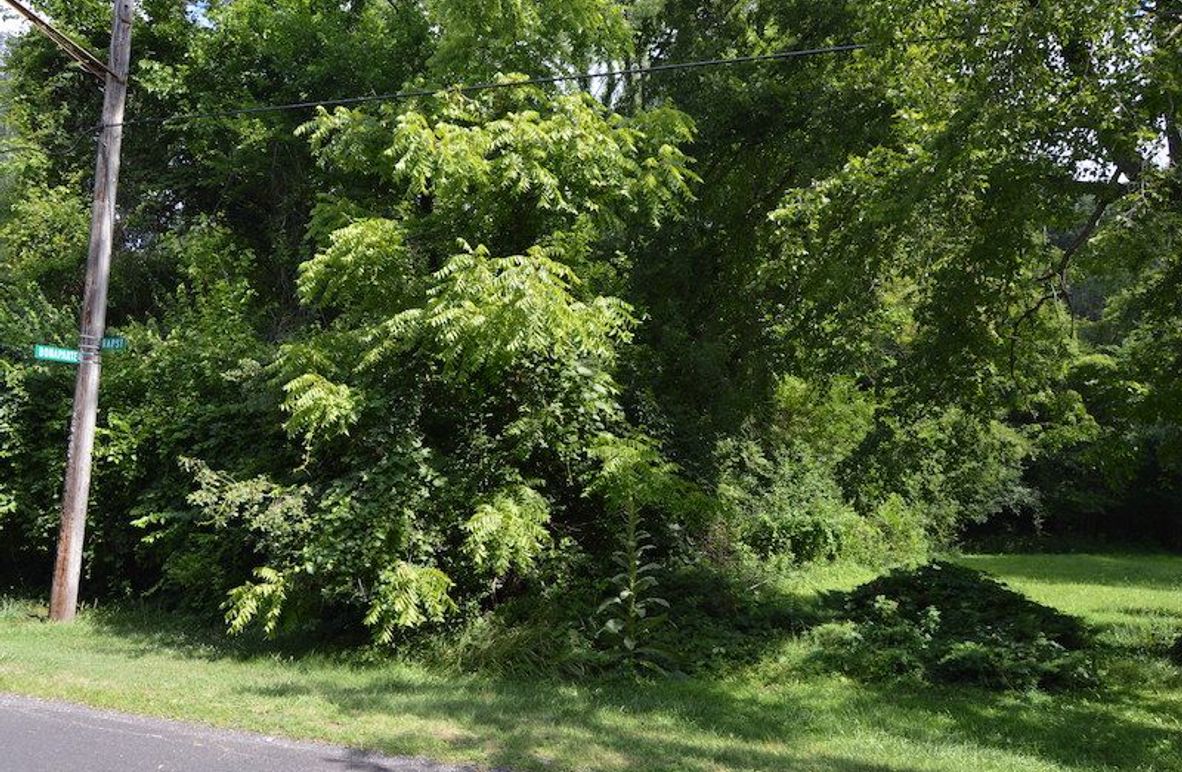 Easement off of Bapst Rd