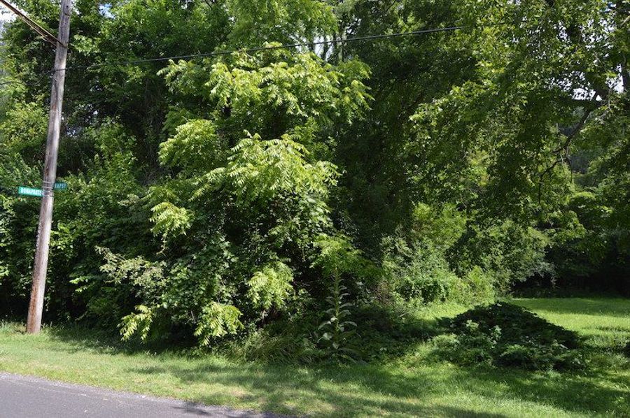 Easement off of Bapst Rd