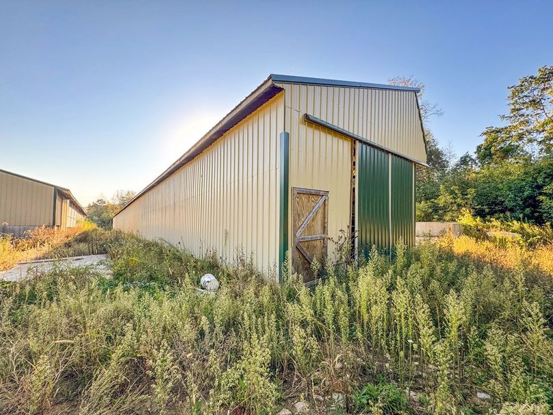 Monroe 5.31-11 Large