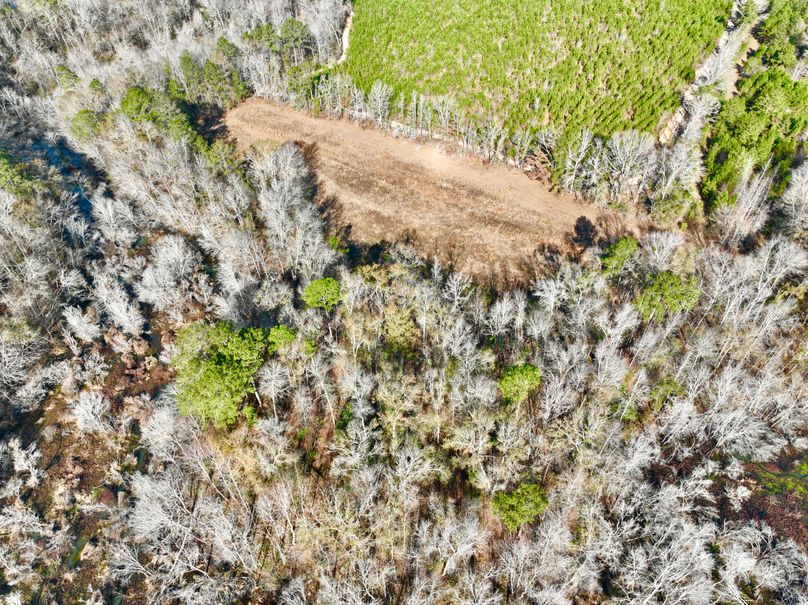 dji_fly_20231230_105500_1_1703952437984_photo