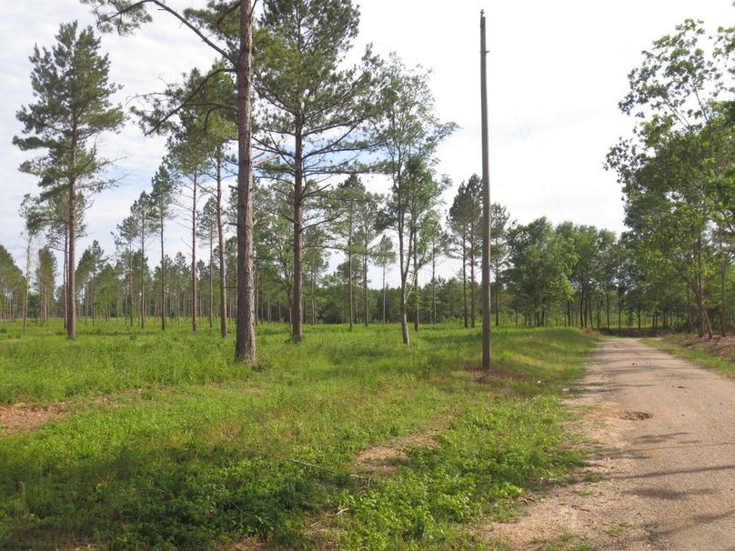 61668ECC-724C-43E0-9DB3-200EBFE016FB_1_105_c