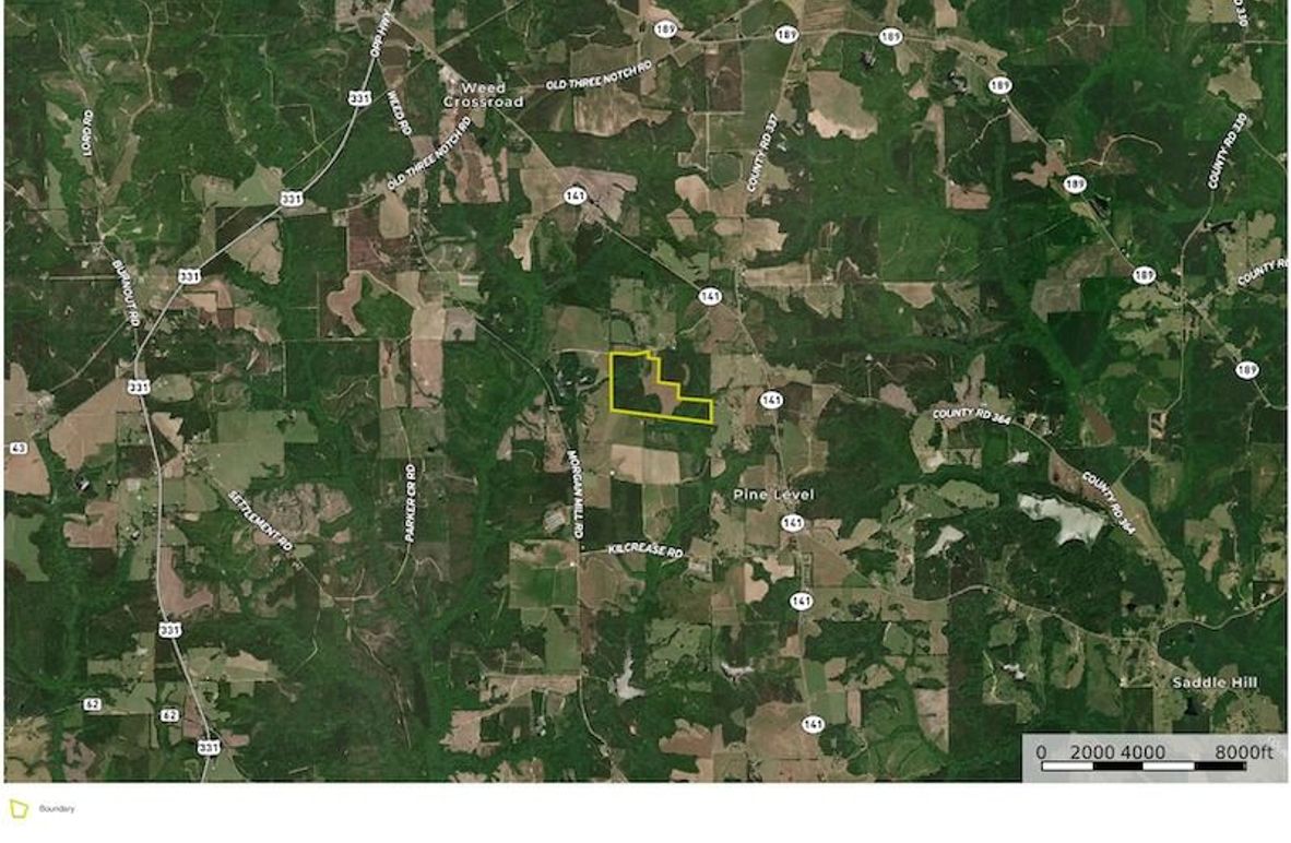 Aerial #2 - 146 Acres Crenshaw, AL - Hutchinson