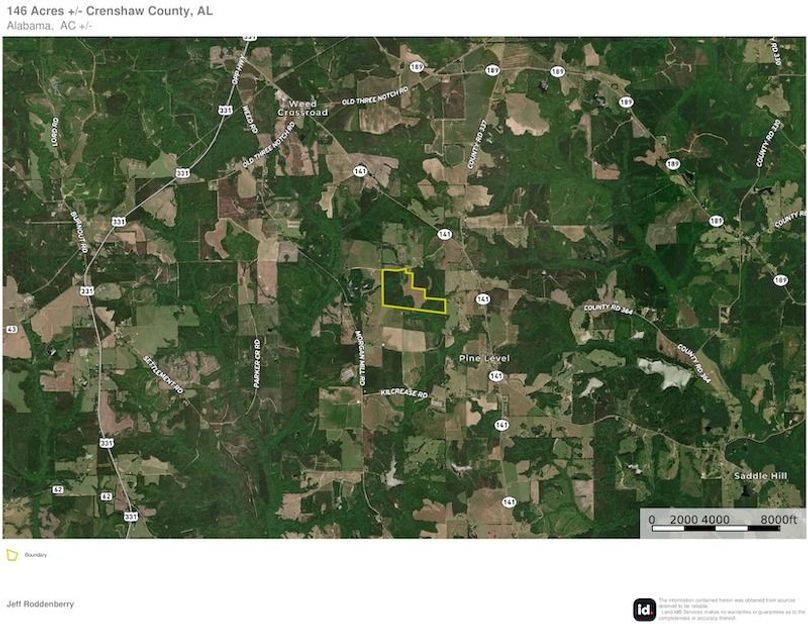 Aerial #2 - 146 Acres Crenshaw, AL - Hutchinson