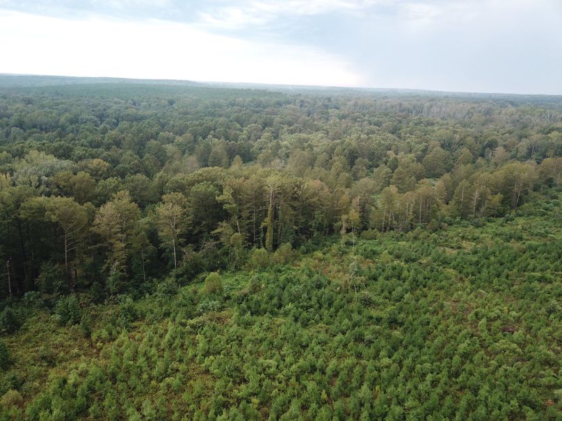 DJI_0788