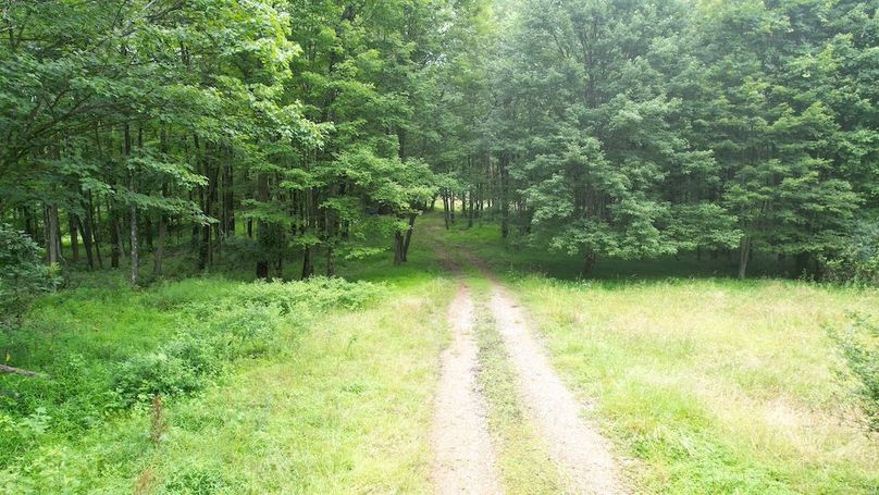 dji_fly_20250714_140736_432_1752537436622_photo