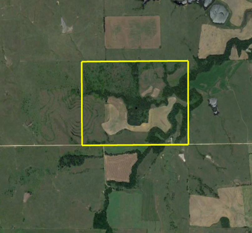 Screen shot 2021-06-06 at 6.46.50 pm