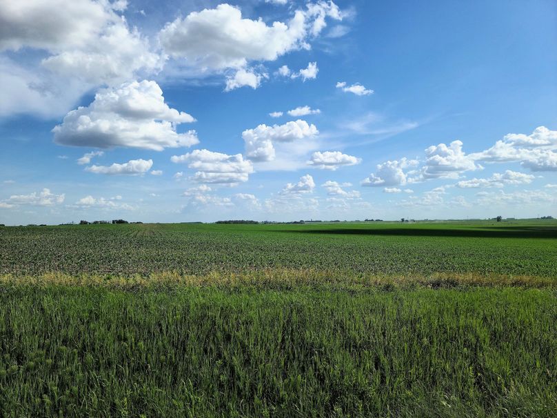 Fayette ia 277.53 grosse tract 1.00004