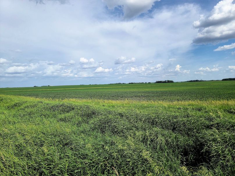 Fayette ia 277.53 grosse tract 1.00005