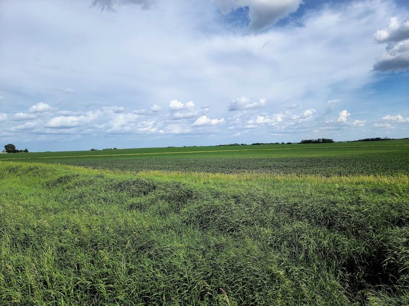 Fayette ia 277.53 grosse tract 1.00001