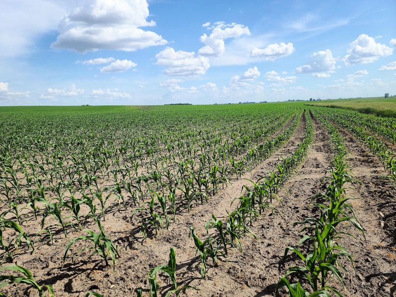 Fayette ia 277.53 grosse tract 1.00002