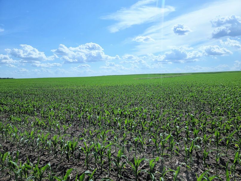 Fayette ia 277.53 grosse tract 2.00004