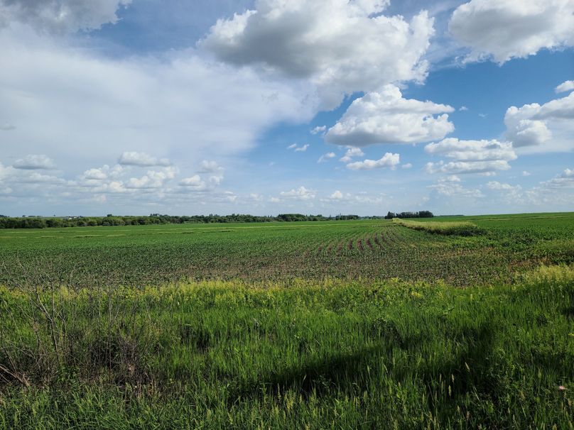 Fayette ia 277.53 grosse tract 2.00005