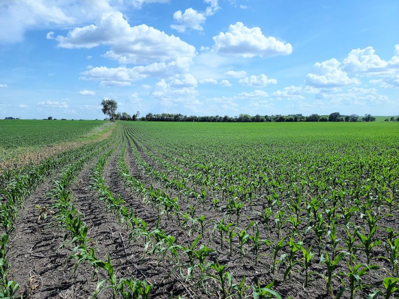 Fayette ia 277.53 grosse tract 2.00006