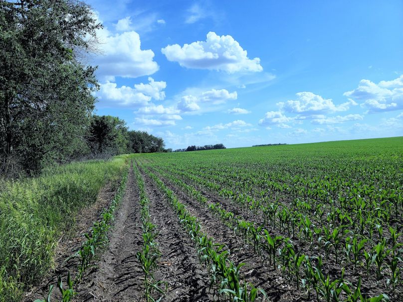 Fayette ia 277.53 grosse tract 2.00007