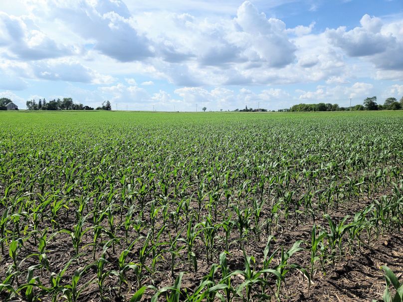 Fayette ia 277.53 grosse tract 2.00008