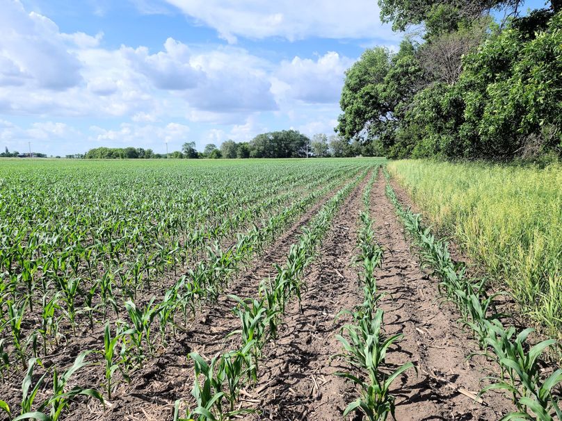 Fayette ia 277.53 grosse tract 2.00009