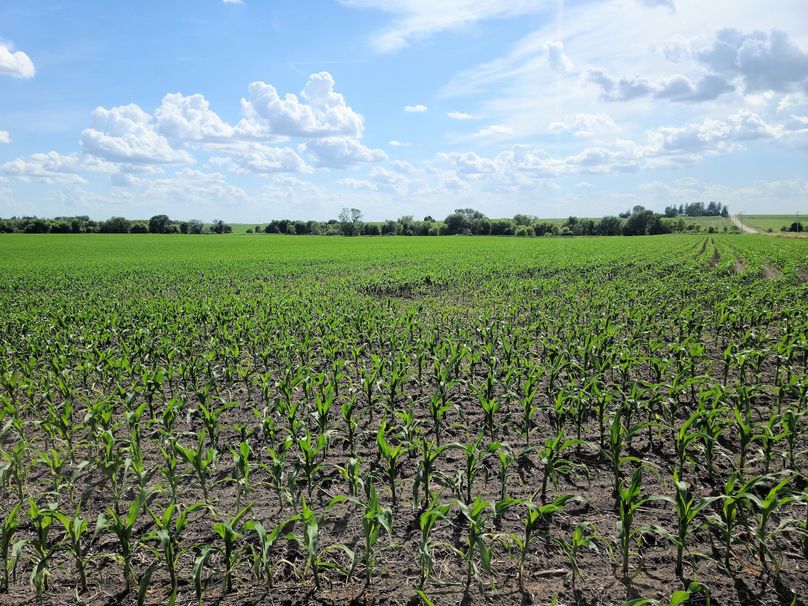 Fayette ia 277.53 grosse tract 2.00001