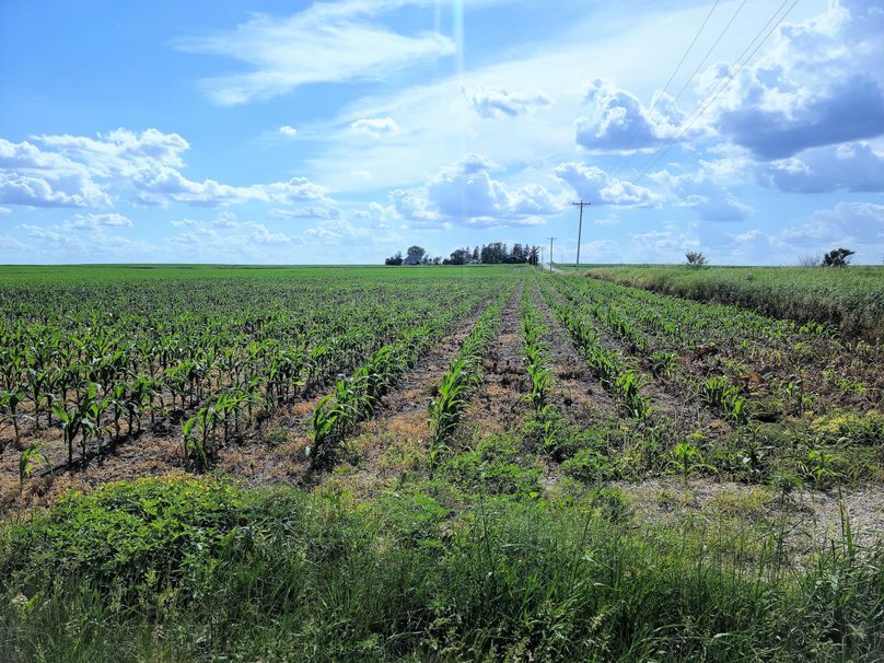 Fayette ia 277.53 grosse tract 2.00002