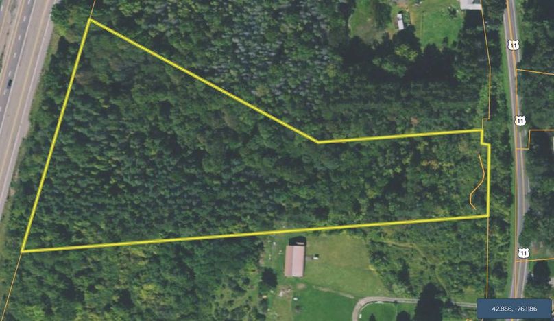 Onondaga 5.66 swanson google