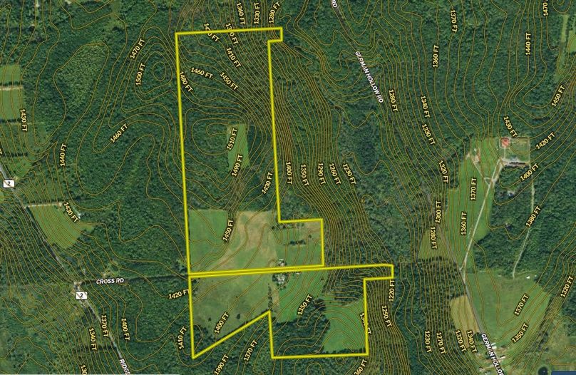 Z chenango 222 reichart topo