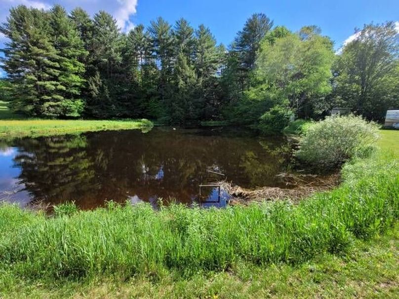 10996911-v1d5xnvtpqczqbkp