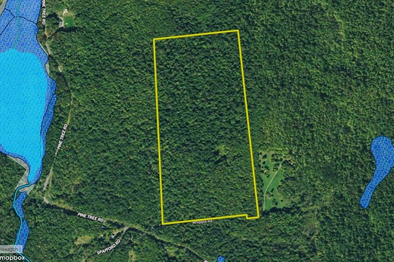 Z otsego 56.41 zoeller google