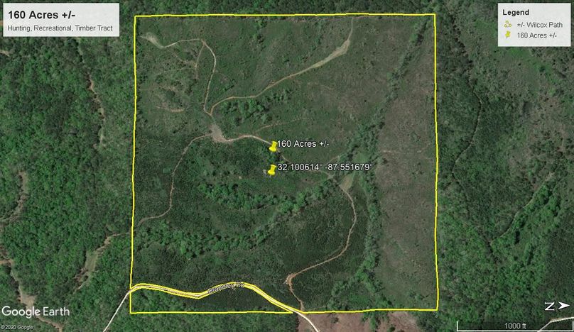 Aerial 4 approx. 160 acres wilcox county, al