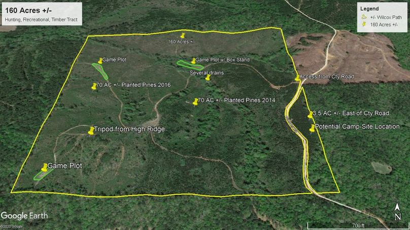 Aerial 6 approx. 160 acres wilcox county, al