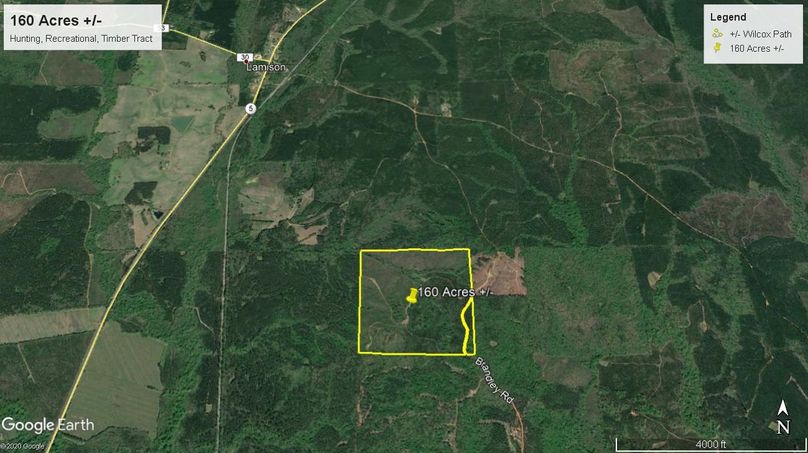 Aerial 7 approx. 160 acres wilcox county, al