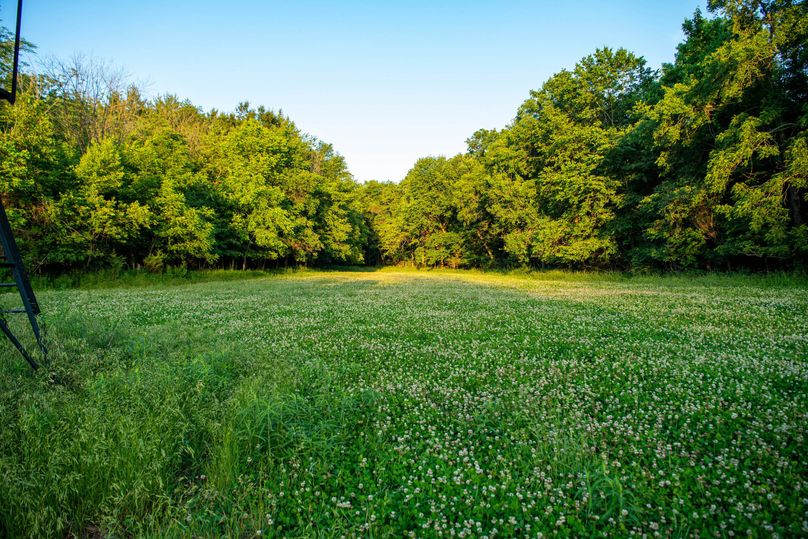 Pike il 83.55 pro photo-15