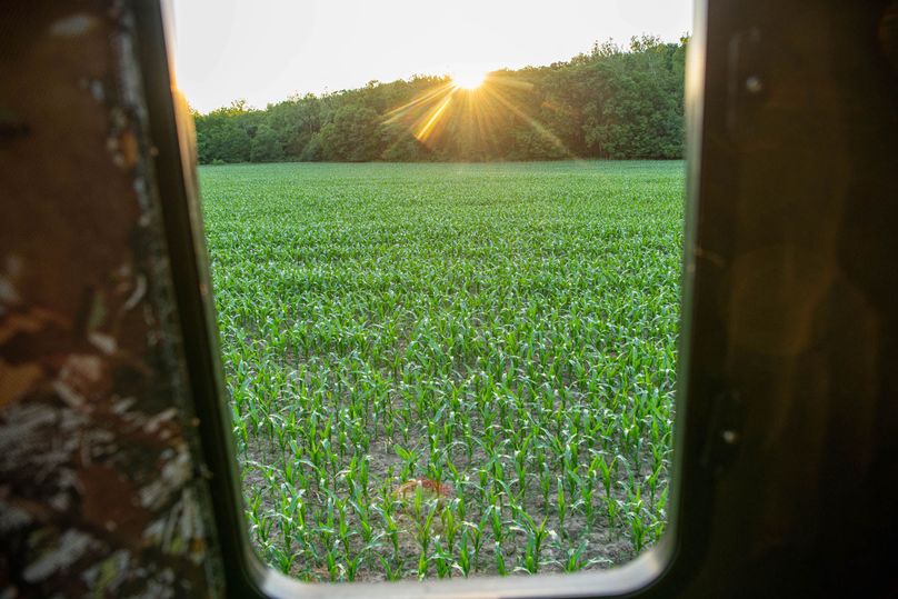 Pike il 83.55 pro photo-16